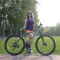 Chinese supply high quality 21 speed alloy frame mountain bike in stock,ready to ship